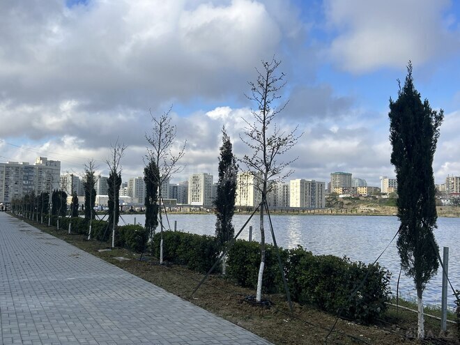 Satılır 2 otaqlı yeni tikili 63 m², Yeni Yasamal q., photo 11 from 13