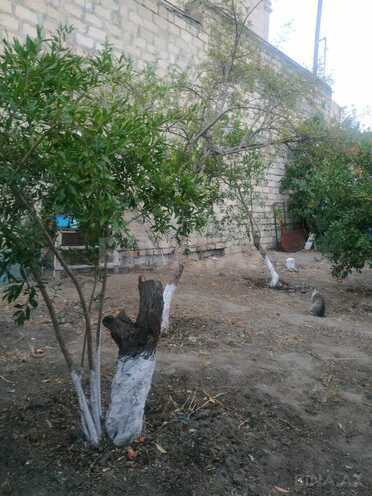 Продаётся  участок 4.5 сот, пос. 6-ой мкр, photo 1 from 15