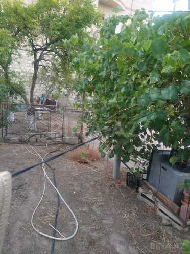 Продаётся  участок 4.5 сот, пос. 6-ой мкр, photo 10 from 15