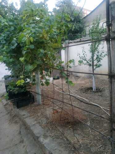 Продаётся  участок 4.5 сот, пос. 6-ой мкр, photo 7 from 15