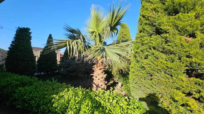Satılır 6 otaqlı həyət evi/bağ evi 450 m², Novxanı q., photo 31 from 32