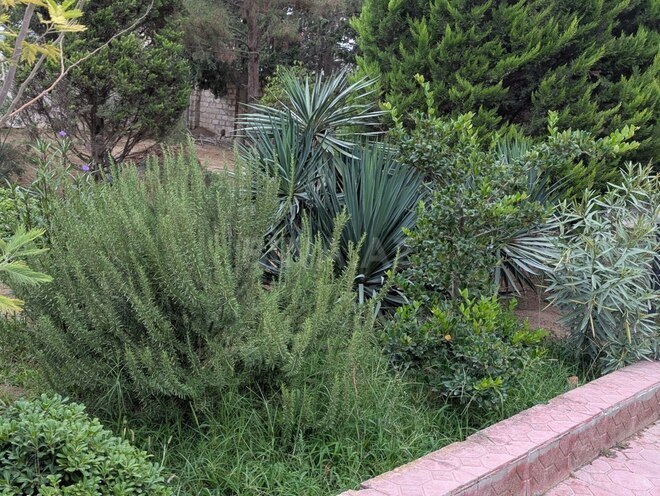 Satılır 5 otaqlı həyət evi/bağ evi 240 m², Nardaran q., photo 30 from 31