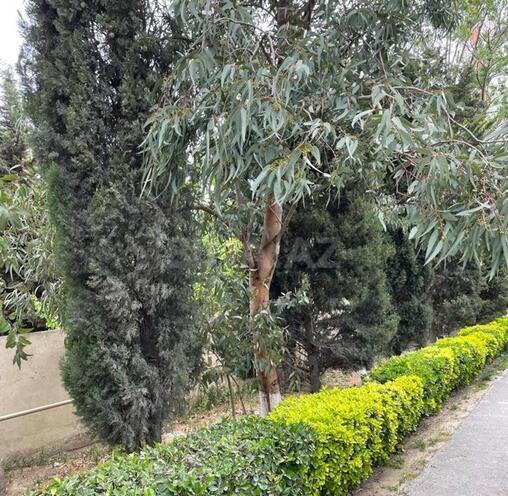 İcarəyə verilir 8 otaqlı həyət evi/bağ evi 750 m², Azadlıq Prospekti m., photo 3 from 26