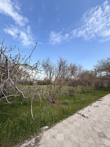 Satılır  torpaq 21.5 sot, Sea Breeze q., photo 5 from 16