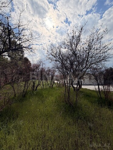 Satılır  torpaq 21.5 sot, Sea Breeze q., photo 9 from 16