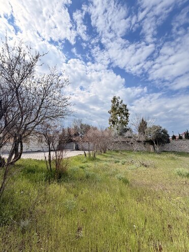 Satılır  torpaq 21.5 sot, Sea Breeze q., photo 8 from 16