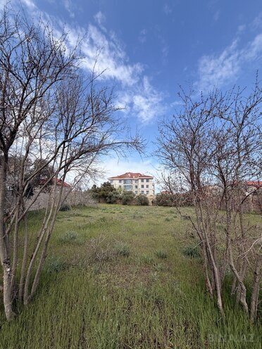 Satılır  torpaq 21.5 sot, Sea Breeze q., photo 3 from 16