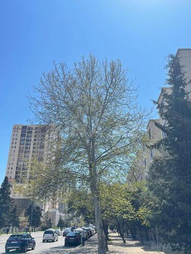 Продаётся 2-комн. вторичка 60 м², м. Иншаатчылар, photo 1 from 26