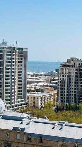 Продаётся 4-комн. новостройка 224 м², м. Сахил, photo 3 from 12