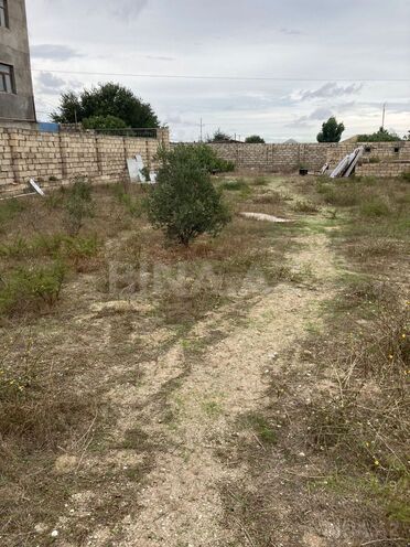 Satılır 3 otaqlı həyət evi/bağ evi 105 m², Türkan q., photo 12 from 14