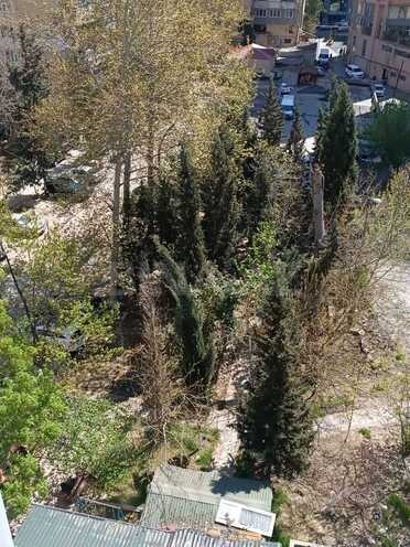 Продаётся 3-комн. вторичка 57 м², м. Элмляр Академиясы, photo 23 from 25