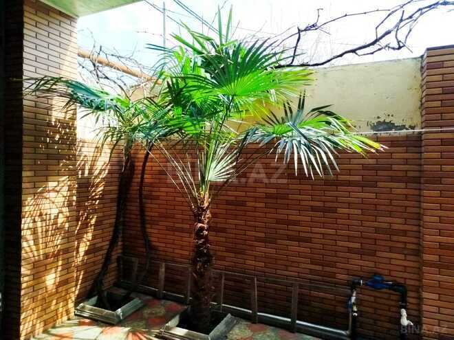 Сдаётся 4-комн. дом/дача 210 м², Абшеронcкий  р., photo 16 from 18