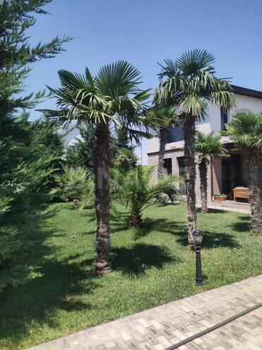 İcarəyə verilir 4 otaqlı həyət evi/bağ evi 320 m², Türkan q., photo 21 from 31