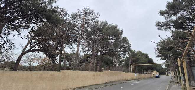 Продаётся 3-комн. вторичка 80 м², Ясамальский р., photo 27 from 28