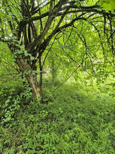 Продаётся 6-комн. дом/дача 220 м², photo 28 from 32