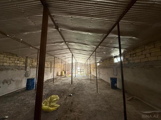 Продаётся  участок 100 сот, пос. Кобу, photo 6 from 18