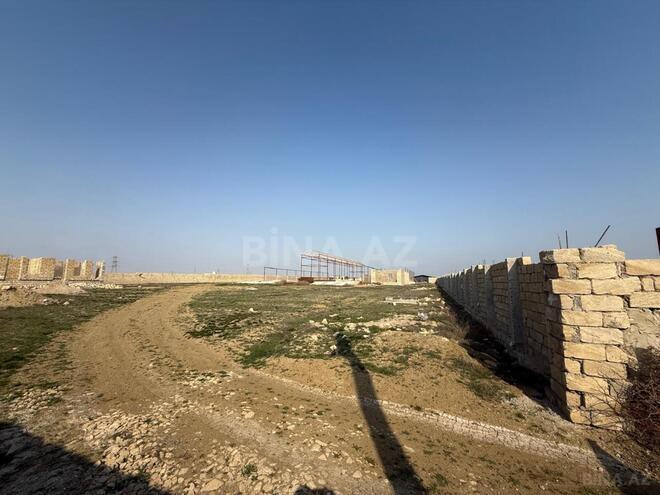 Продаётся  участок 100 сот, пос. Кобу, photo 10 from 18