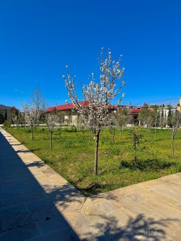 Satılır 9 otaqlı həyət evi/bağ evi 2 000 m², Şüvəlan q., photo 8 from 32