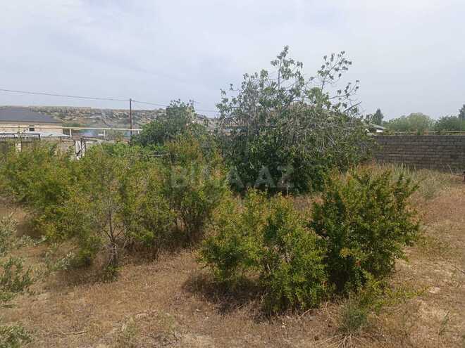 Продаётся  участок 12 сот, пос. Нардаран, photo 19 from 27