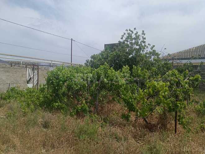 Продаётся  участок 12 сот, пос. Нардаран, photo 25 from 27