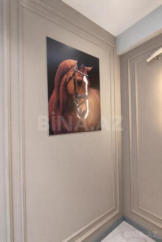 Satılır 3 otaqlı yeni tikili 159 m², Şah İsmayıl Xətai m., photo 24 from 32