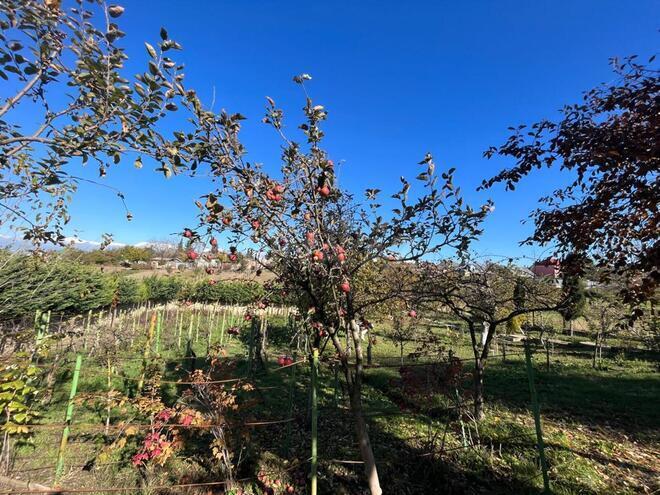 Продаётся  объект 1 400 м², photo 23 from 32