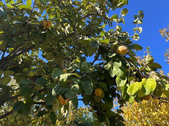 Продаётся  объект 1 400 м², photo 25 from 32