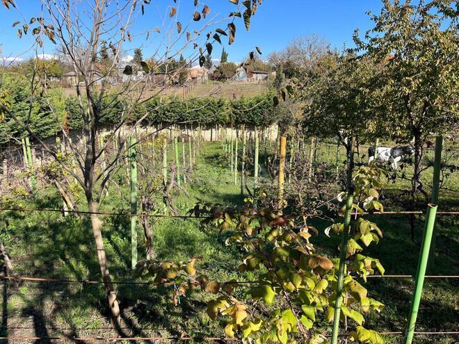 Продаётся  объект 1 400 м², photo 27 from 32