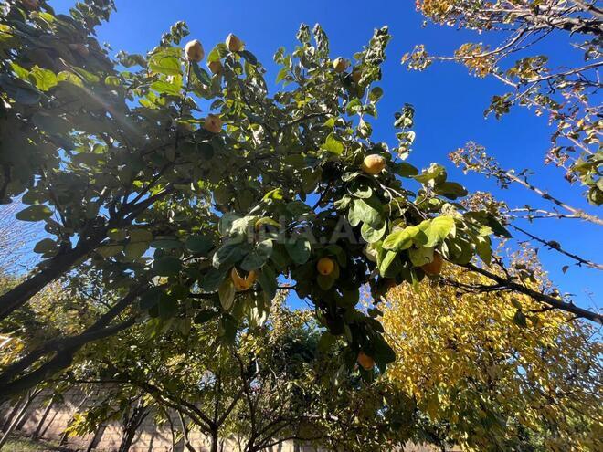 Продаётся  объект 1 400 м², photo 24 from 32