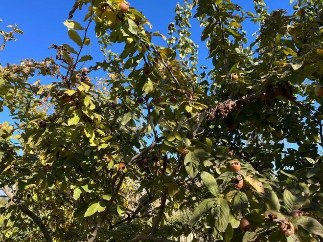 Продаётся  объект 1 400 м², photo 26 from 32