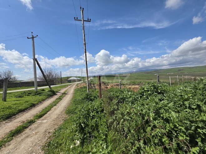 Продаётся  участок 350 сот, photo 3 from 12