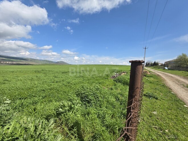 Продаётся  участок 350 сот, photo 7 from 12