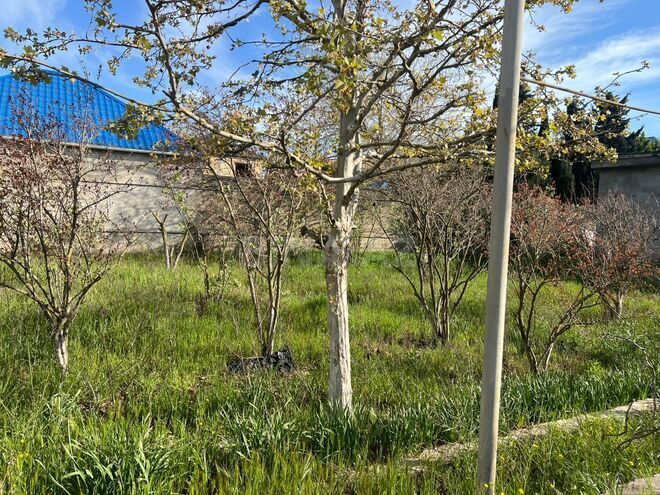 Продаётся  участок 25 сот, пос. Sea Breeze, photo 8 from 17