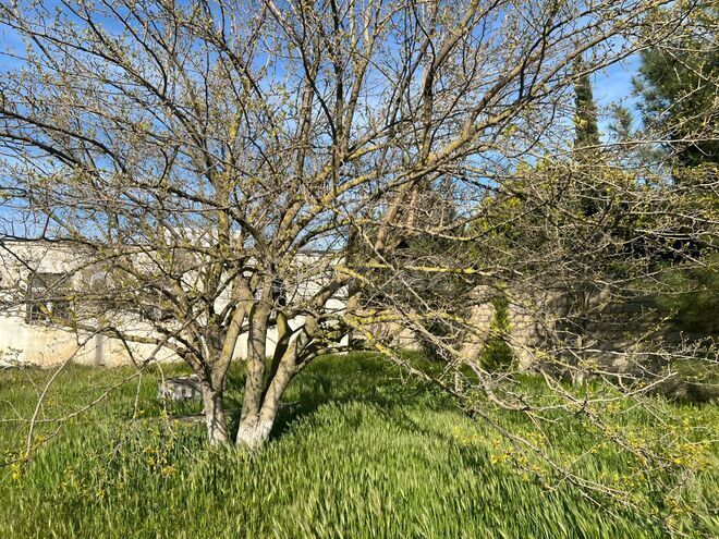 Продаётся  участок 25 сот, пос. Sea Breeze, photo 7 from 17