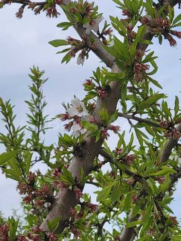 Продаётся  участок 800 сот, photo 20 from 25