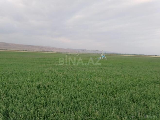 Satılır  torpaq 31 000 sot, photo 3 from 31