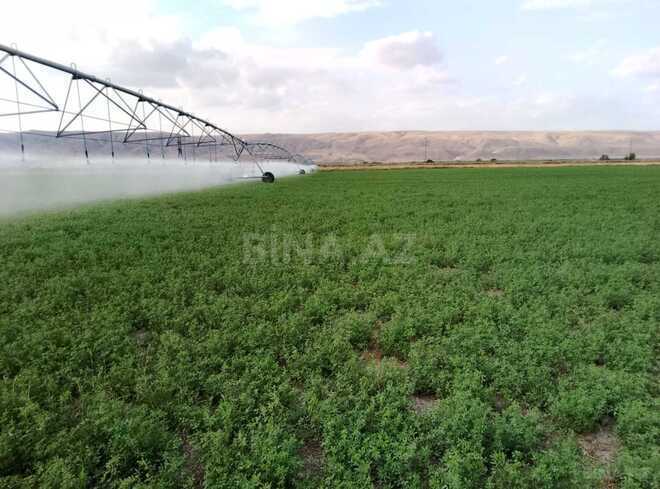 Satılır  torpaq 31 000 sot, photo 1 from 31