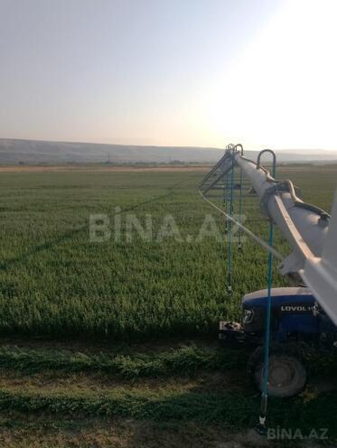 Satılır  torpaq 31 000 sot, photo 6 from 31