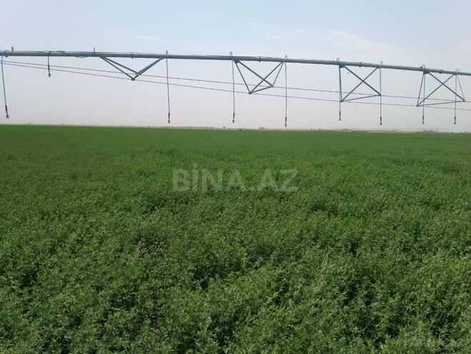 Satılır  torpaq 31 000 sot, photo 4 from 31