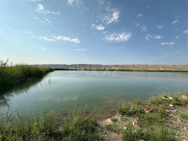 Satılır  torpaq 31 000 sot, photo 9 from 31