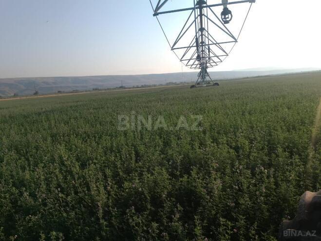 Satılır  torpaq 31 000 sot, photo 8 from 31