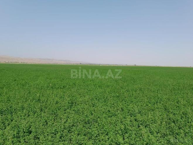 Satılır  torpaq 31 000 sot, photo 7 from 31