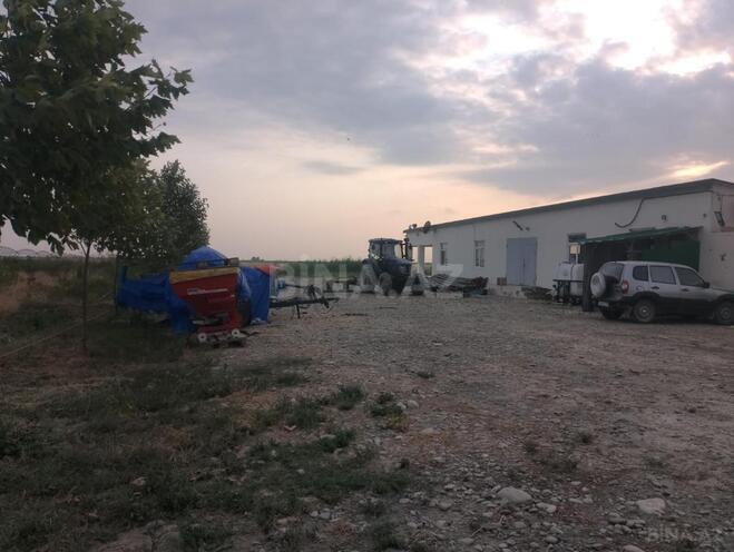 Satılır  torpaq 31 000 sot, photo 13 from 31