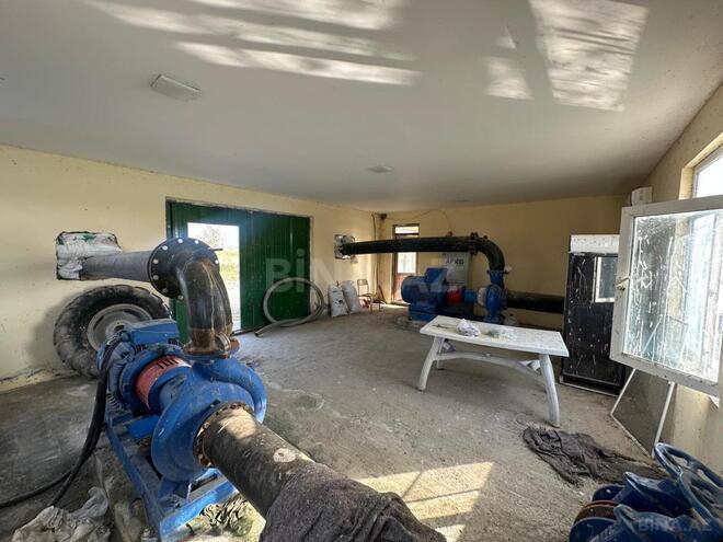 Satılır  torpaq 31 000 sot, photo 11 from 31