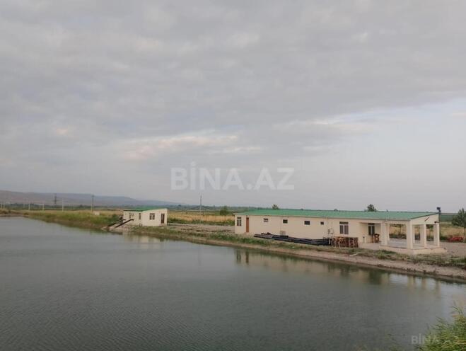 Satılır  torpaq 31 000 sot, photo 18 from 31