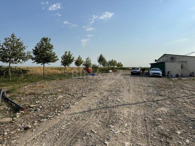 Satılır  torpaq 31 000 sot, photo 30 from 31