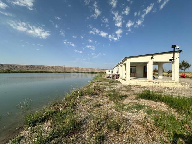 Satılır  torpaq 31 000 sot, photo 29 from 31