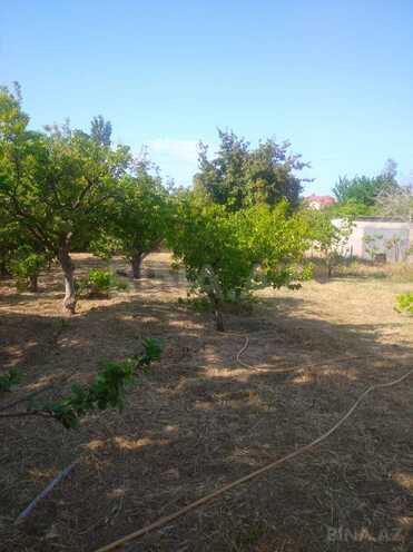 Satılır  torpaq 12 sot, Novxanı q., photo 4 from 7