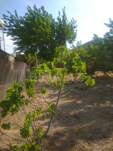 Satılır  torpaq 12 sot, Novxanı q., photo 6 from 7