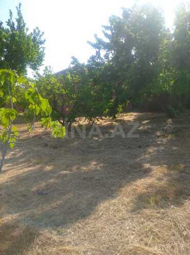 Satılır  torpaq 12 sot, Novxanı q., photo 1 from 7